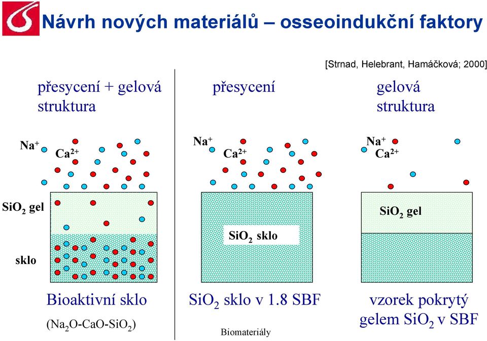 2+ Na + Ca 2+ Na + Ca 2+ SiO 2 gel SiO 2 gel SiO 2 sklo sklo Bioaktivní