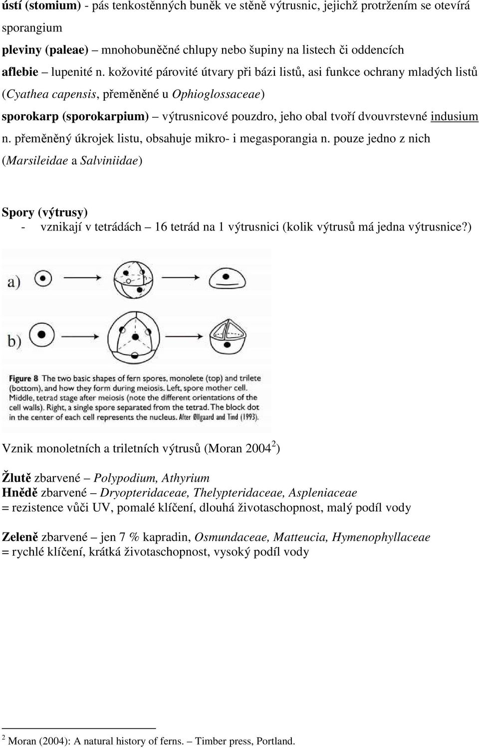 indusium n. přeměněný úkrojek listu, obsahuje mikro- i megasporangia n.