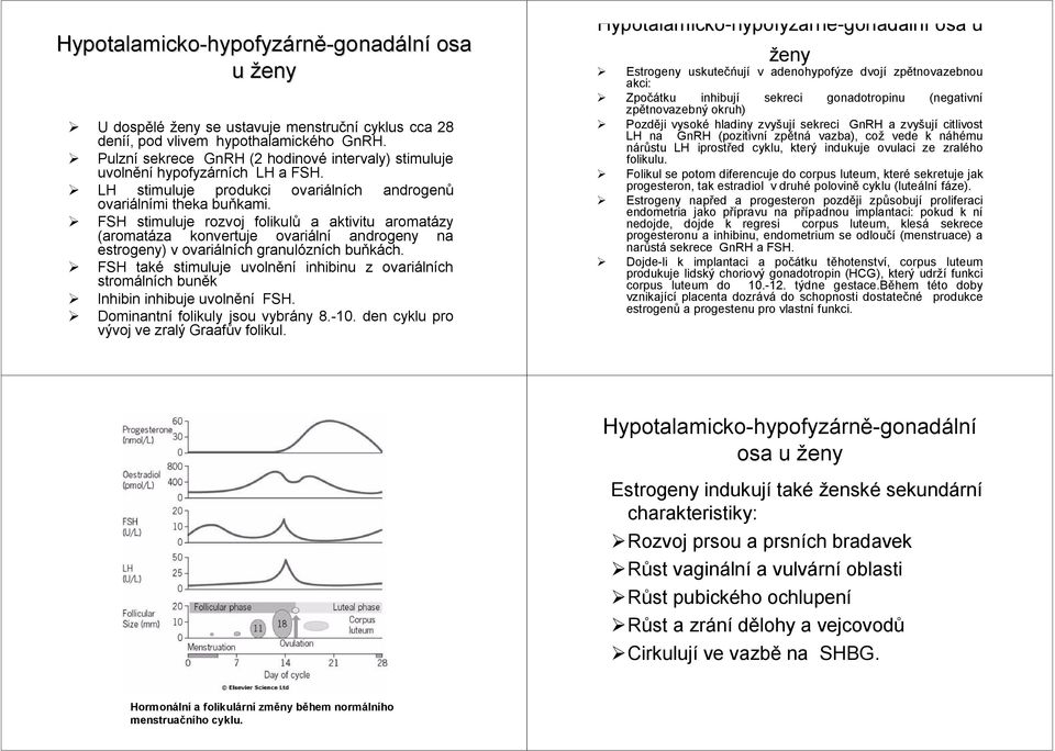 ovariálních androgenů FSH stimuluje rozvoj folikulů a aktivitu aromatázy (aromatáza konvertuje ovariální androgeny na estrogeny) v ovariálních granulózních buňkách.