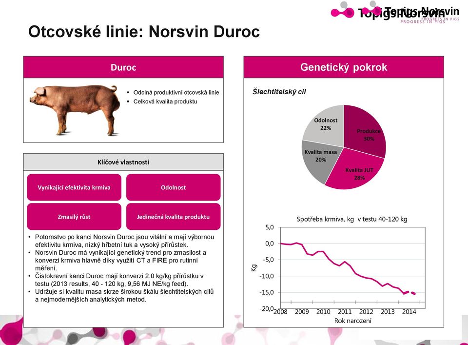 Duroc má vynikající genetický trend pro zmasilost a konverzi krmiva hlavně díky využití CT a FIRE pro rutinní měření. Čistokrevní kanci Duroc mají konverzi 2.