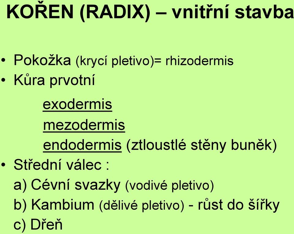 (ztloustlé stěny buněk) Střední válec : a) Cévní svazky