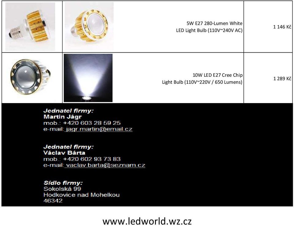 E27 Cree Chip Light Bulb (110V~220V