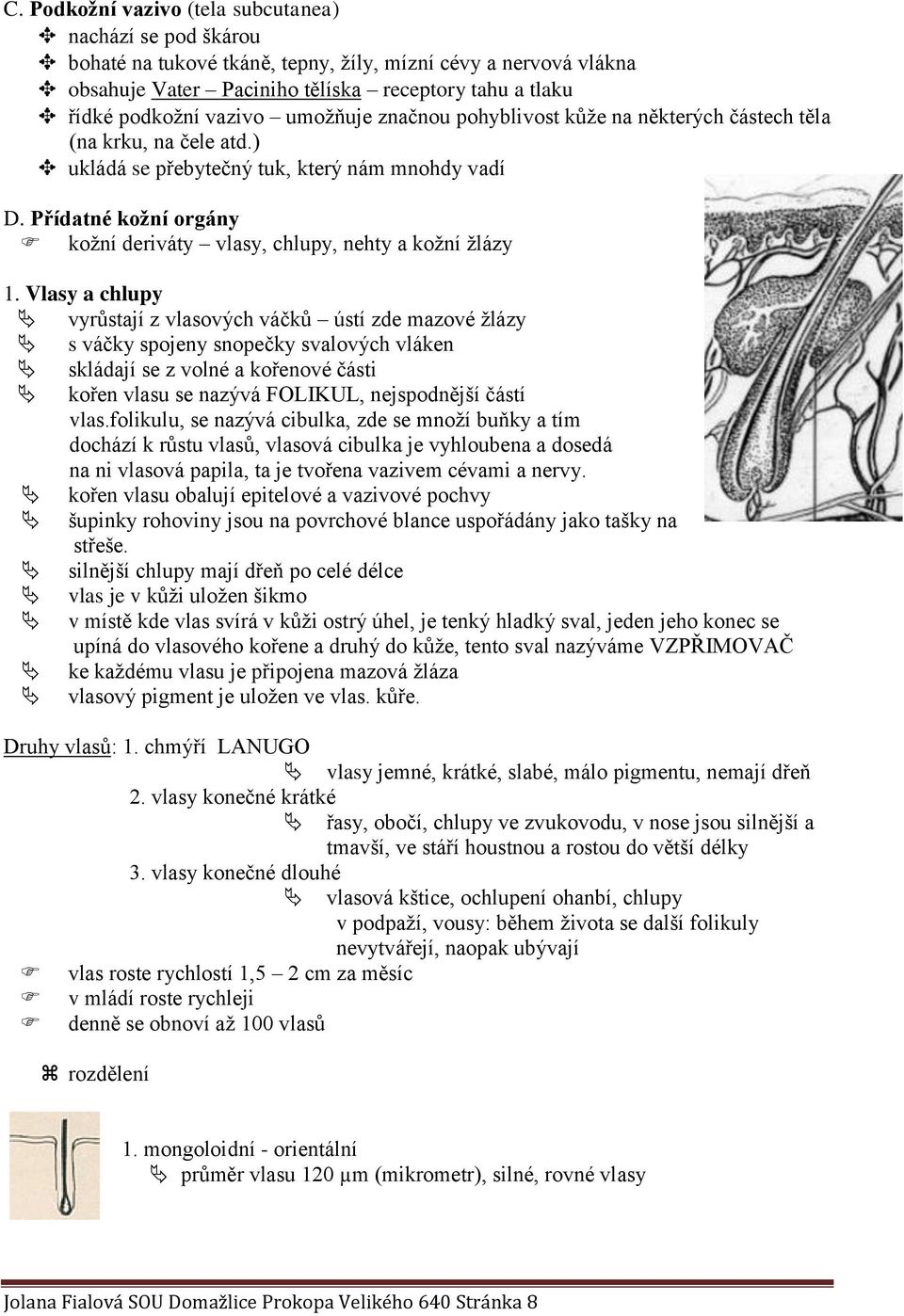 Přídatné kožní orgány kožní deriváty vlasy, chlupy, nehty a kožní žlázy 1.