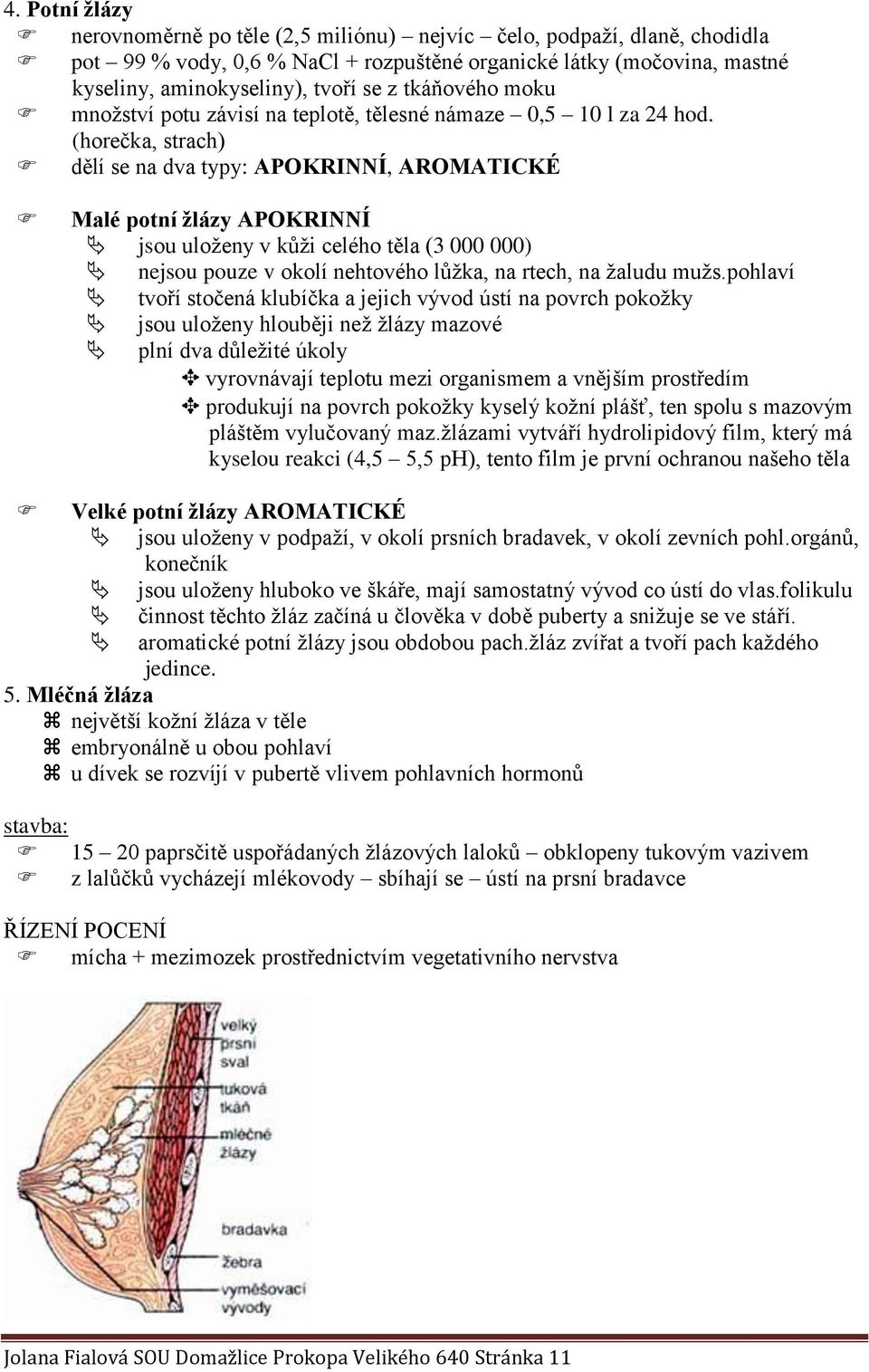 (horečka, strach) dělí se na dva typy: APOKRINNÍ, AROMATICKÉ Malé potní žlázy APOKRINNÍ jsou uloženy v kůži celého těla (3 000 000) nejsou pouze v okolí nehtového lůžka, na rtech, na žaludu mužs.