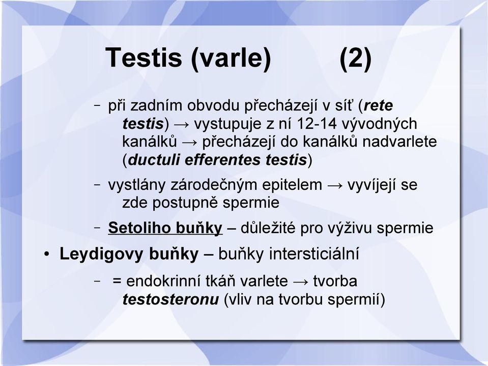 zárodečným epitelem vyvíjejí se zde postupně spermie Setoliho buňky důležité pro výživu