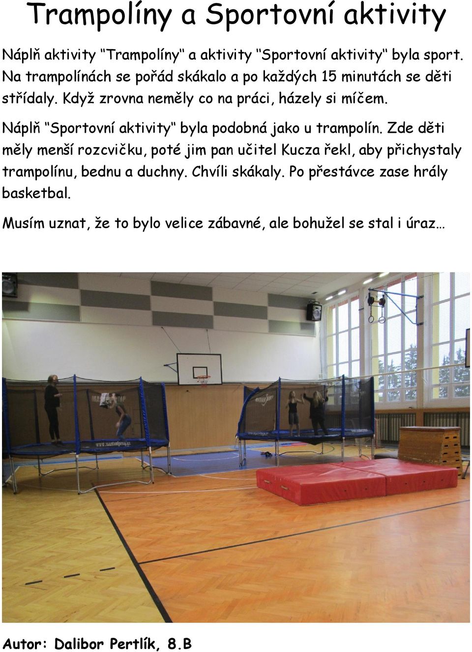Náplň Sportovní aktivity byla podobná jako u trampolín.