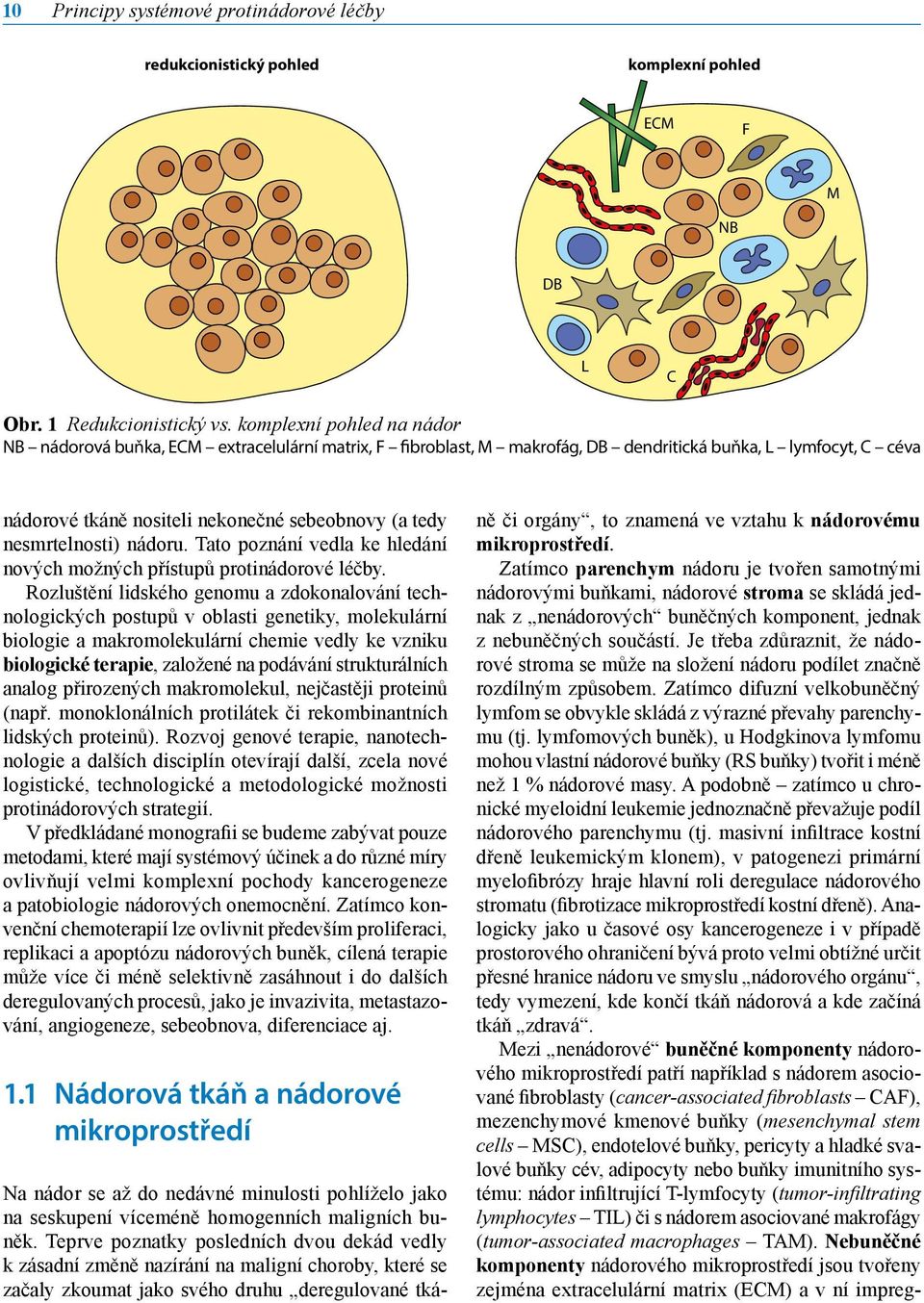 Je třeba zdůraznit, že nádorové stroma se může na složení nádoru podílet značně rozdílným způsobem. Zatímco difuzní velkobuněčný lymfom se obvykle skládá z výrazné převahy parenchymu (tj.