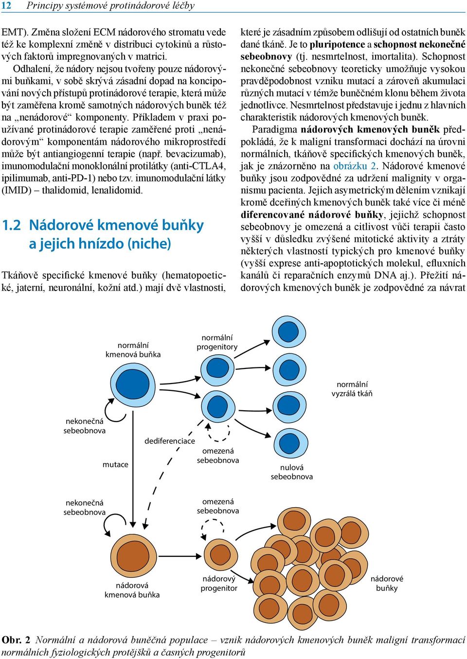 též na nenádorové komponenty. Příkladem v praxi používané protinádorové terapie zaměřené proti nenádorovým komponentám nádorového mikroprostředí může být antiangiogenní terapie (např.