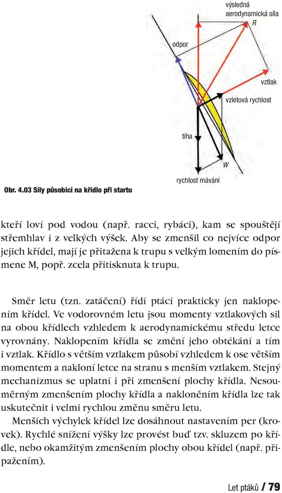 Směr letu (tzn. zatáčení) řídí ptáci prakticky jen naklopením křídel. Ve vodorovném letu jsou momenty vztlakových sil na obou křídlech vzhledem k aerodynamickému středu letce vyrovnány.