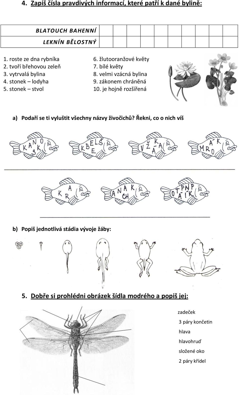 zákonem chráněná 5. stonek stvol 10. je hojně rozšířená a) Podaří se ti vyluštit všechny názvy živočichů?