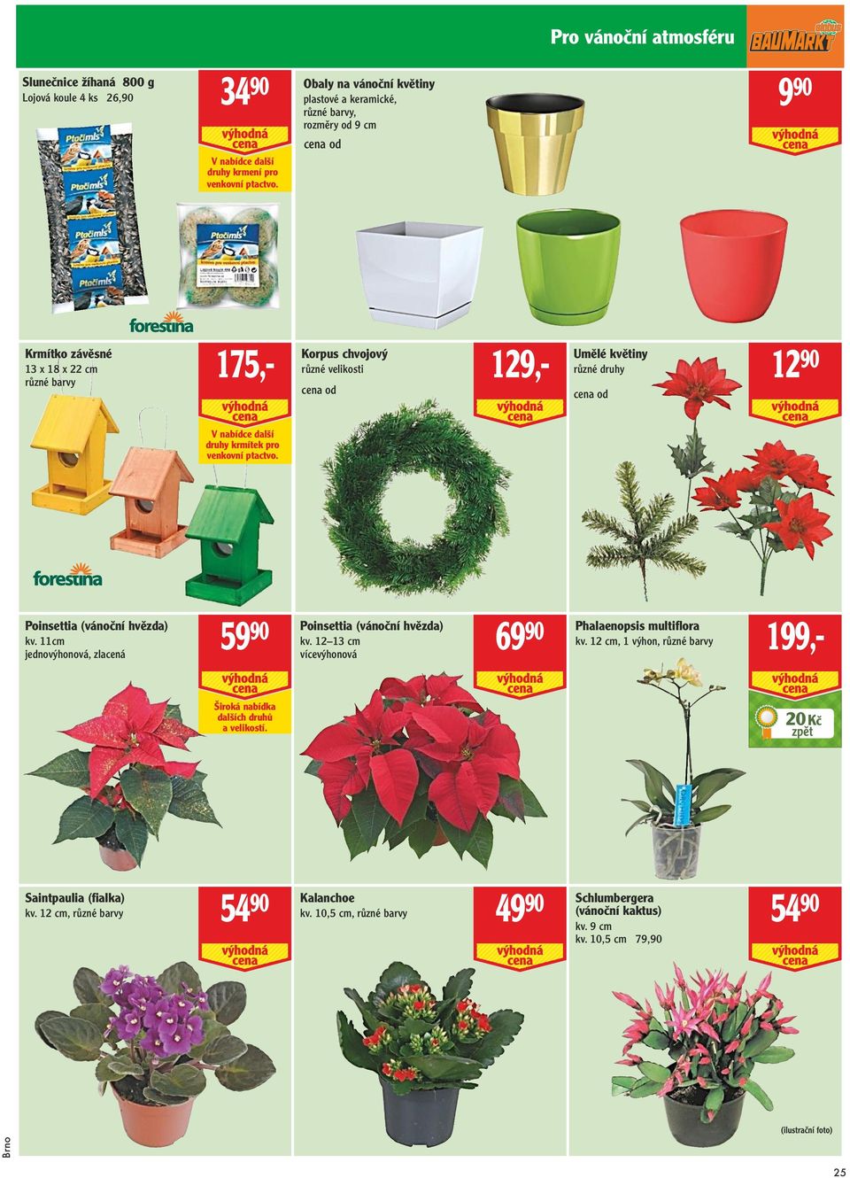 nabídce další druhy krmítek pro venkovní ptactvo. Poinsettia (vánoční hvězda) 59 90 Poinsettia (vánoční hvězda) kv. 11cm 69 90 kv. 12 13 cm jednovýhonová, zlacená Phalaenopsis multiflora kv.