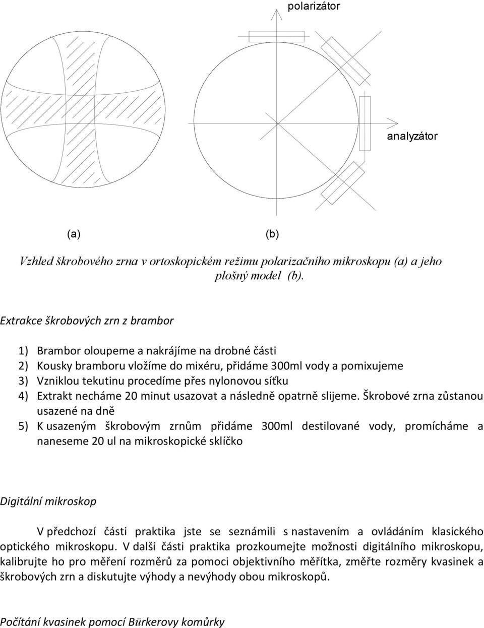 síťku 4) Extrakt necháme 20 minut usazovat a následně opatrně slijeme.