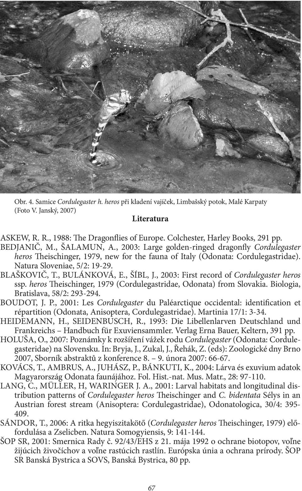 Natura Sloveniae, 5/2: 19-29. Blaškovič, T., Bulánková, E., Šíbl, J., 2003: First record of Cordulegaster heros ssp. heros Theischinger, 1979 (Cordulegastridae, Odonata) from Slovakia.