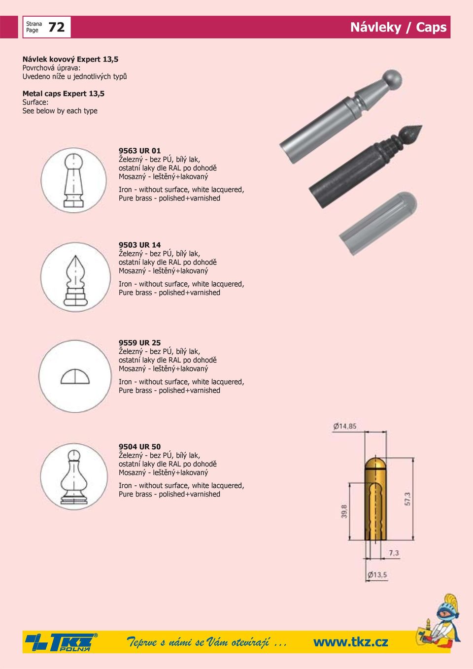 lak, ostatní laky dle RAL po dohodě Iron - without surface, white lacquered, 9559 UR 25 Železný - bez PÚ, bílý lak, ostatní laky dle RAL po dohodě