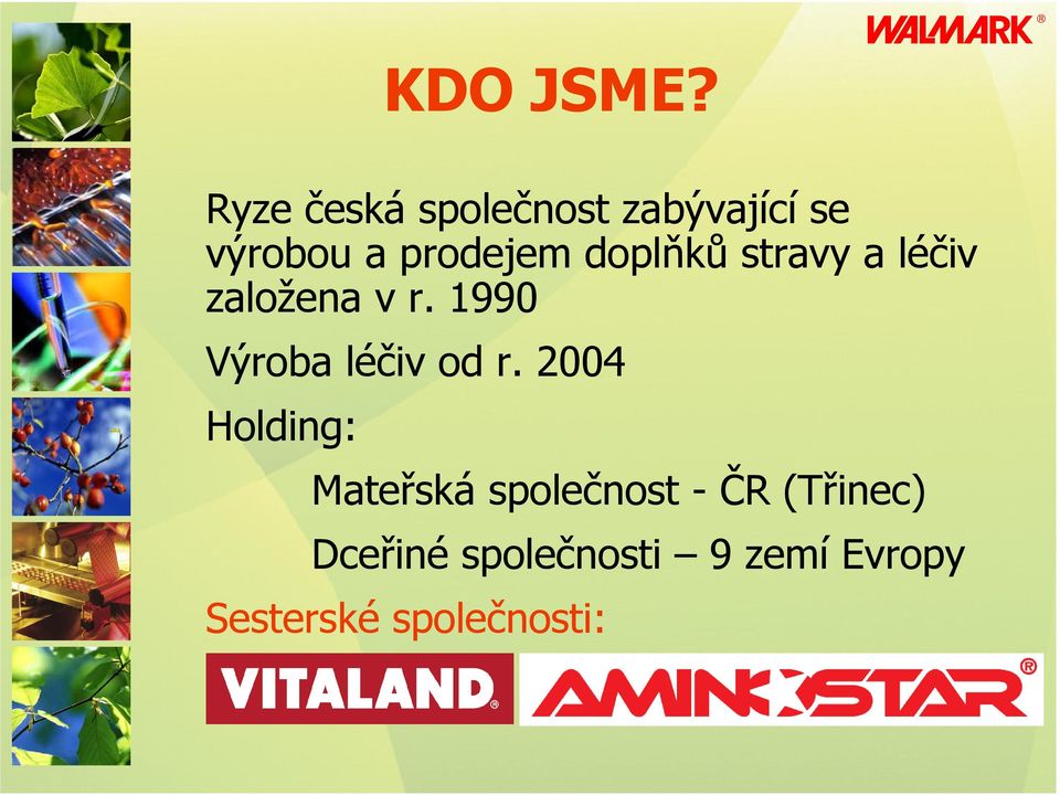 1990 Výroba léčiv od r. 2004 Holding: KDO JSME?