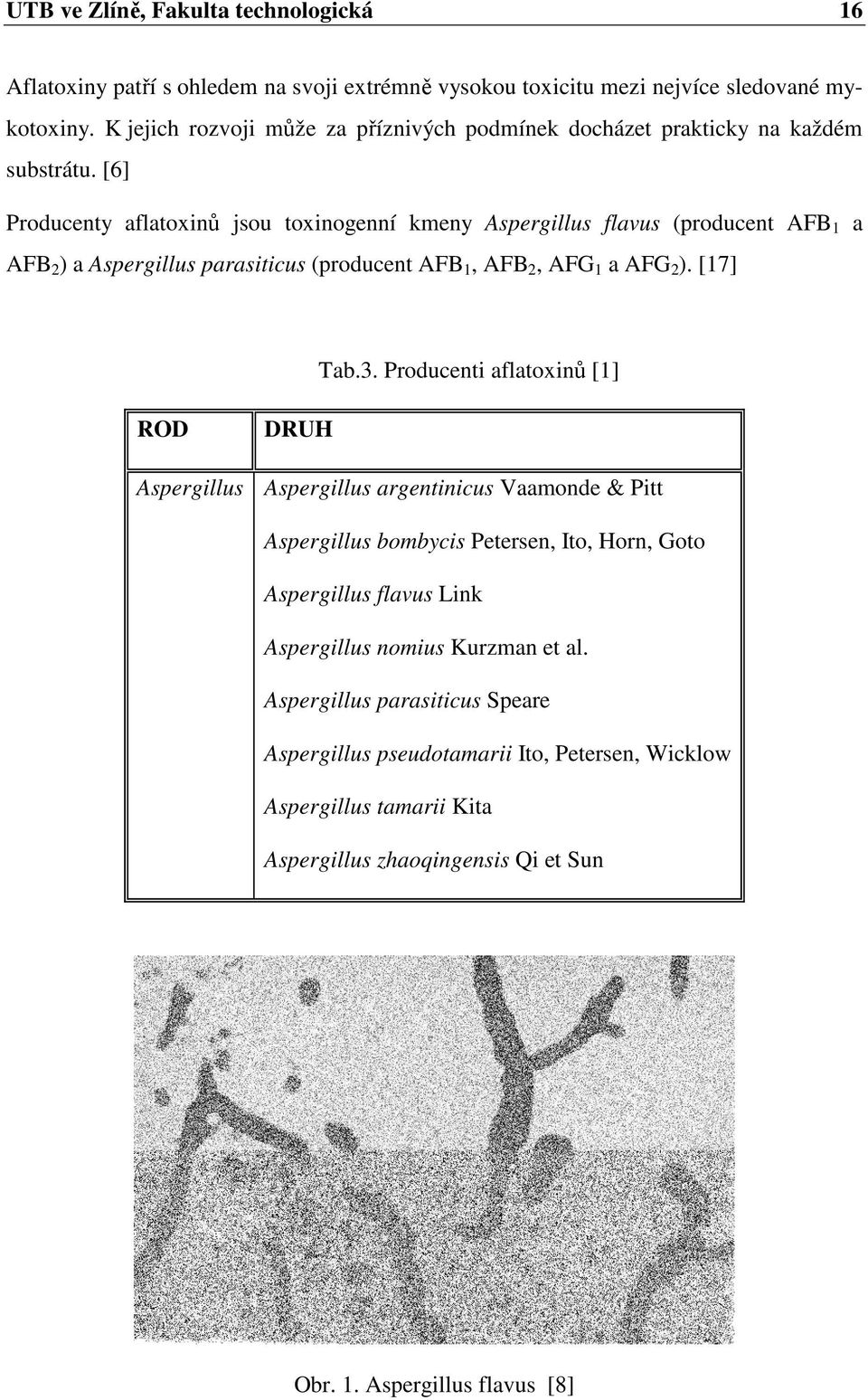 [6] Producenty aflatoxinů jsou toxinogenní kmeny Aspergillus flavus (producent AFB 1 a AFB 2 ) a Aspergillus parasiticus (producent AFB 1, AFB 2, AFG 1 a AFG 2 ). [17] Tab.3.