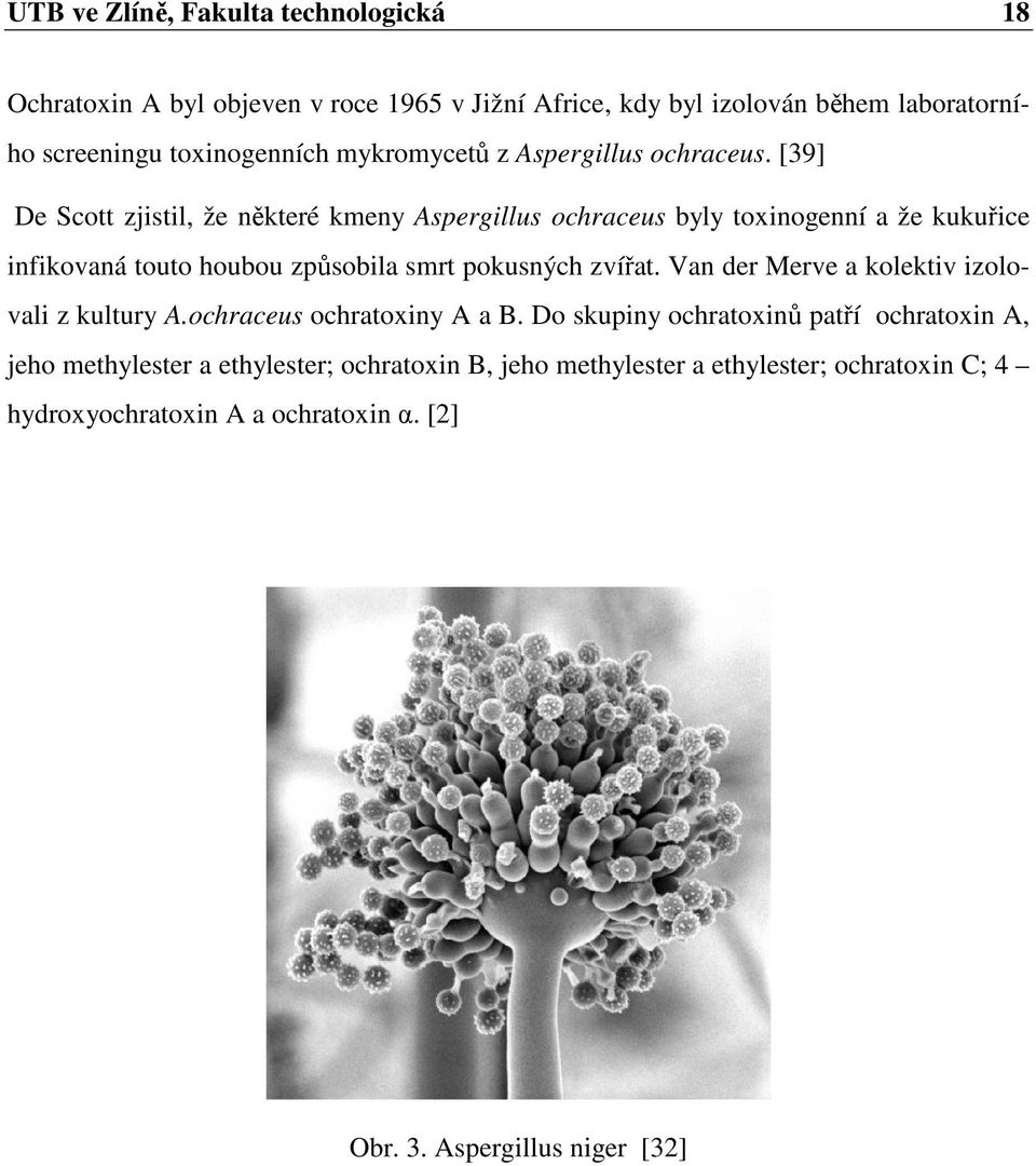 [39] De Scott zjistil, že některé kmeny Aspergillus ochraceus byly toxinogenní a že kukuřice infikovaná touto houbou způsobila smrt pokusných zvířat.