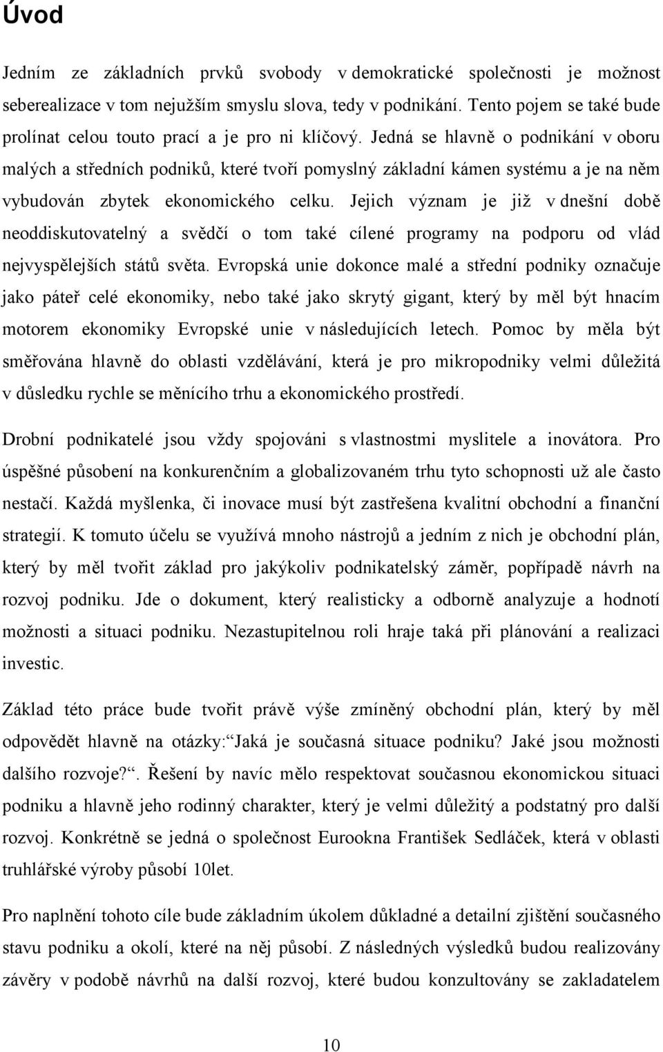 Jedná se hlavně o podnikání v oboru malých a středních podniků, které tvoří pomyslný základní kámen systému a je na něm vybudován zbytek ekonomického celku.