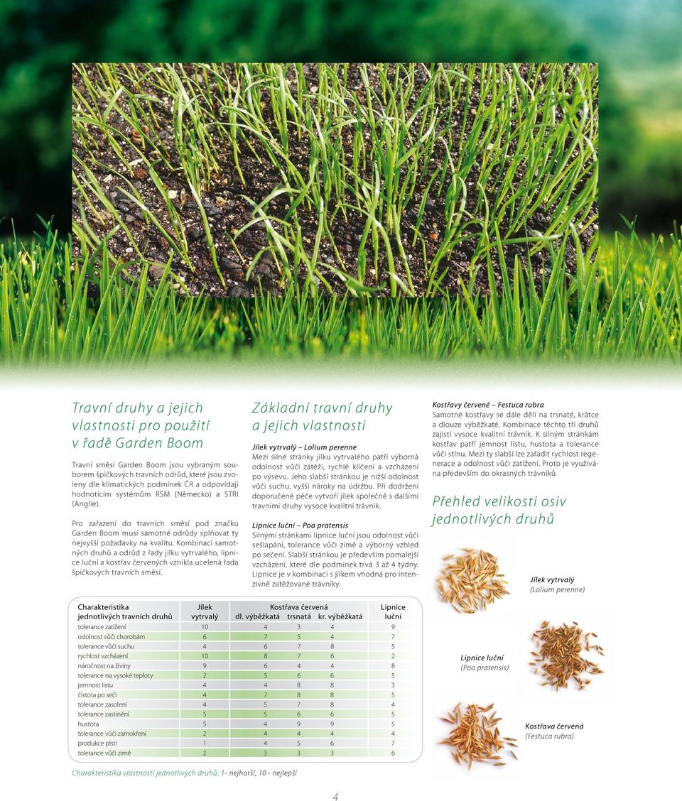 Kombinací samotných druhů a odrůd z řady jílku vytrvalého, lipnice luční a kostřav červených vznikla ucelená řada špičkových travních směsí.