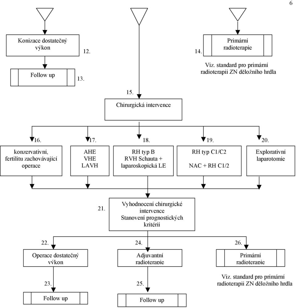 konzervativní, fertilitu zachovávající operace AHE VHE LAVH RH typ B RVH Schauta + laparoskopická LE RH typ C1/C2 NAC + RH C1/2 Explorativní