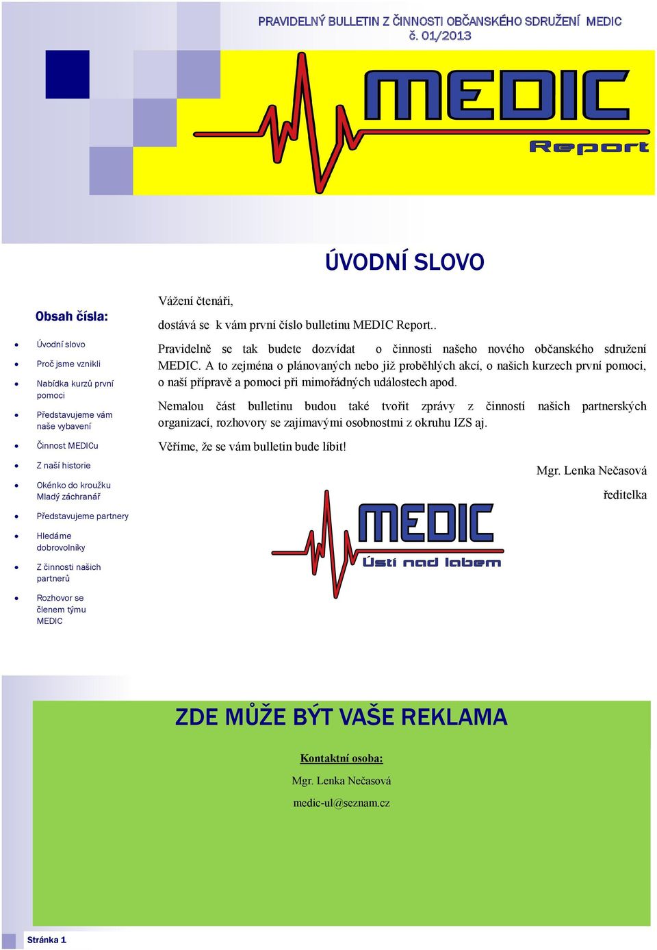 Hledáme dobrovolníky Z činnosti našich partnerů Rozhovor se členem týmu MEDIC Vážení čtenáři, dostává se k vám první číslo bulletinu MEDIC Report.