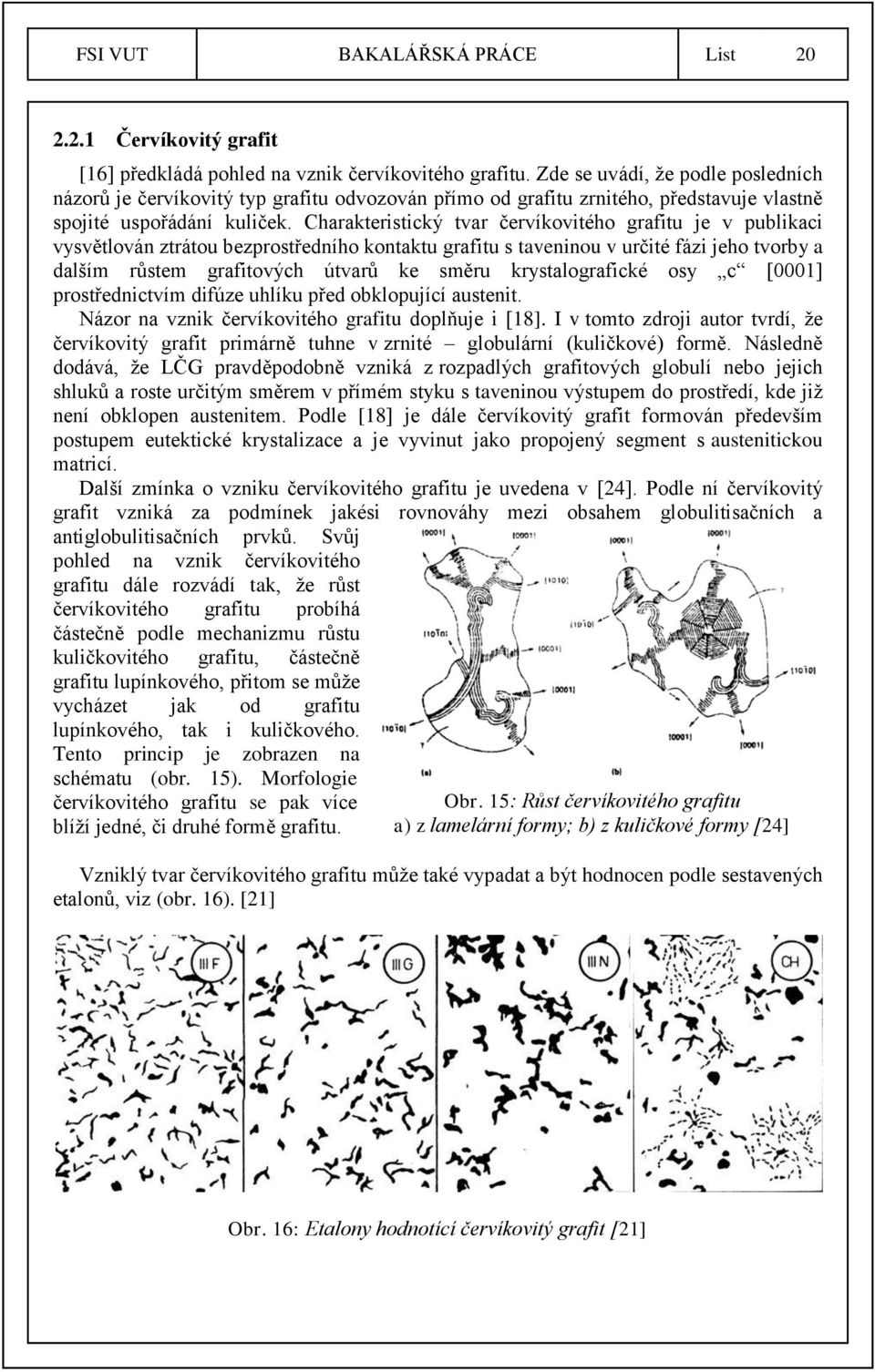 Charakteristický tvar červíkovitého grafitu je v publikaci vysvětlován ztrátou bezprostředního kontaktu grafitu s taveninou v určité fázi jeho tvorby a dalším růstem grafitových útvarů ke směru