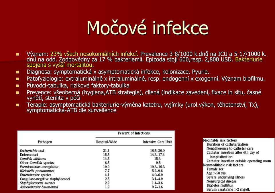 Patofyziologie: extraluminálně x intraluminálně, resp. endogenní x exogenní. Význam biofilmu.