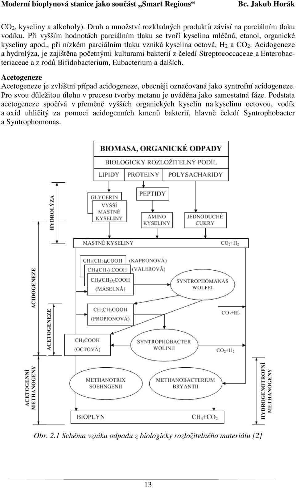 Acidogeneze a hydrolýza, je zajištěna početnými kulturami bakterií z čeledí Streptococcaceae a Enterobacteriaceae a z rodů Bifidobacterium, Eubacterium a dalších.