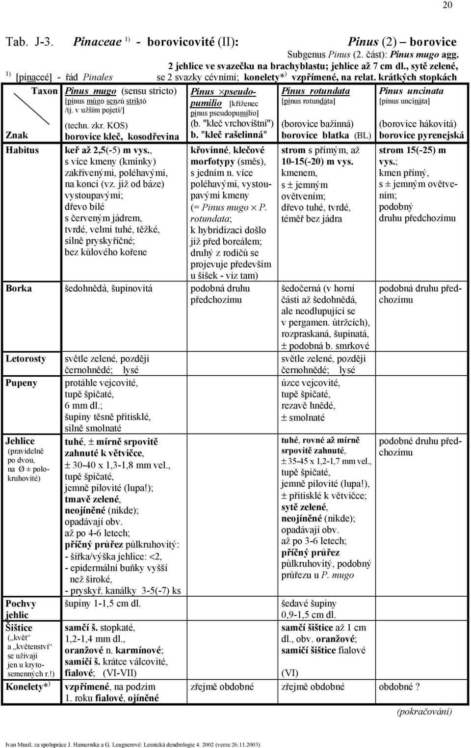 krátkých stopkách Taxon Pinus mugo (sensu stricto) Pinus rotundata Pinus uncinata [pínus múgo senzú striktó [pínus rotundáta] [pínus uncínáta] /tj. v užším pojetí/] Habitus (techn. zkr.