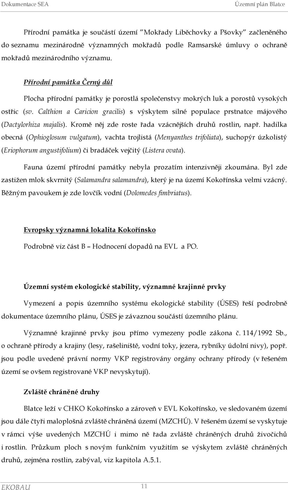 Calthion a Caricion gracilis) s výskytem silné populace prstnatce májového (Dactylorhiza majalis). Kromě něj zde roste řada vzácnějších druhů rostlin, např.