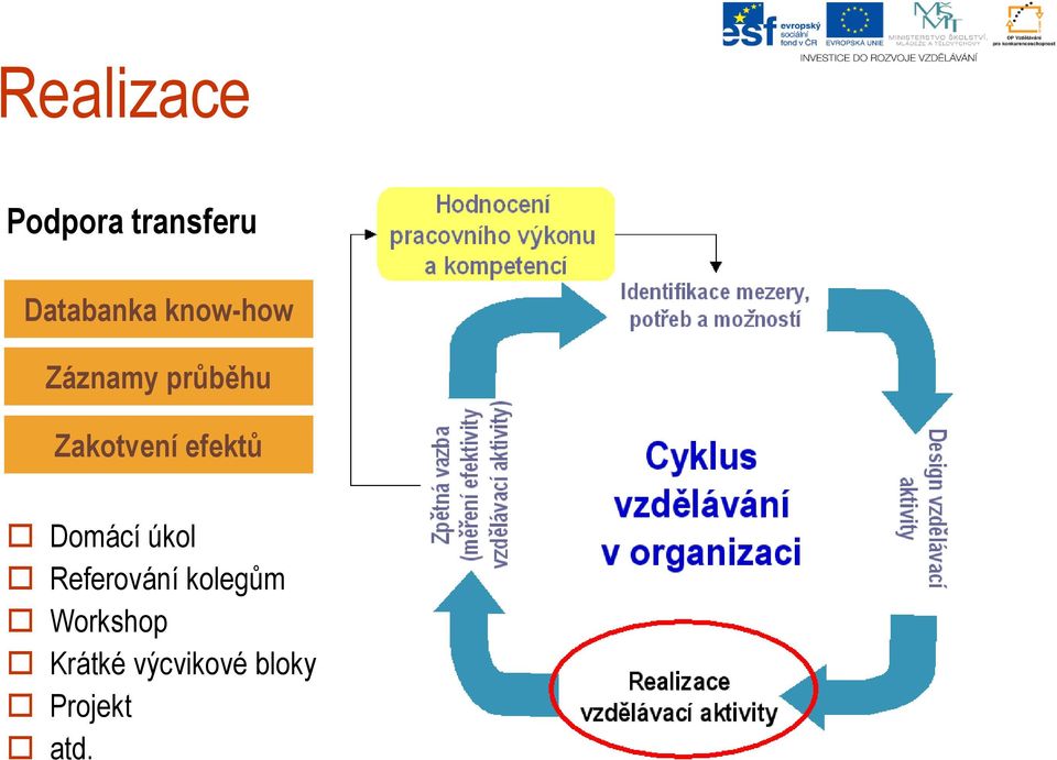 efektů Domácí úkol Referování kolegům