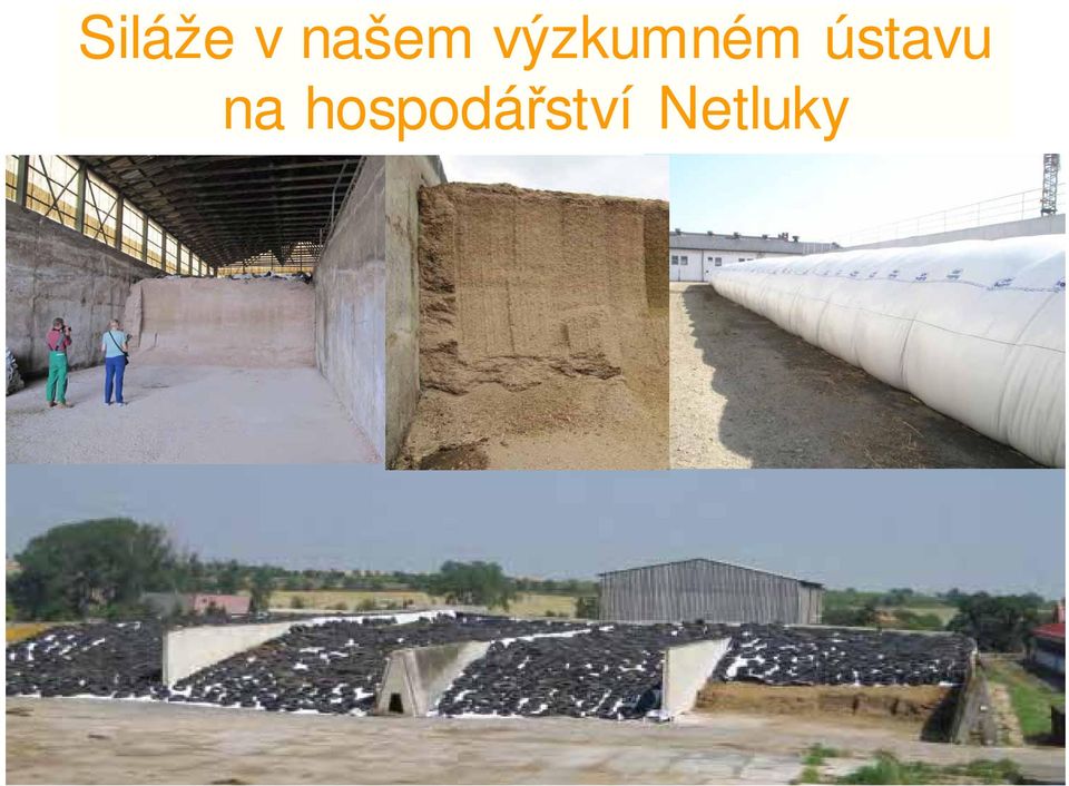 výzkumném