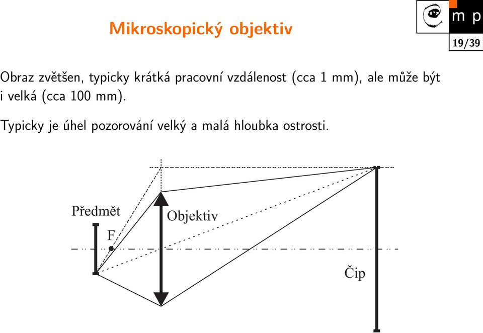 i velká (cca 100 mm).