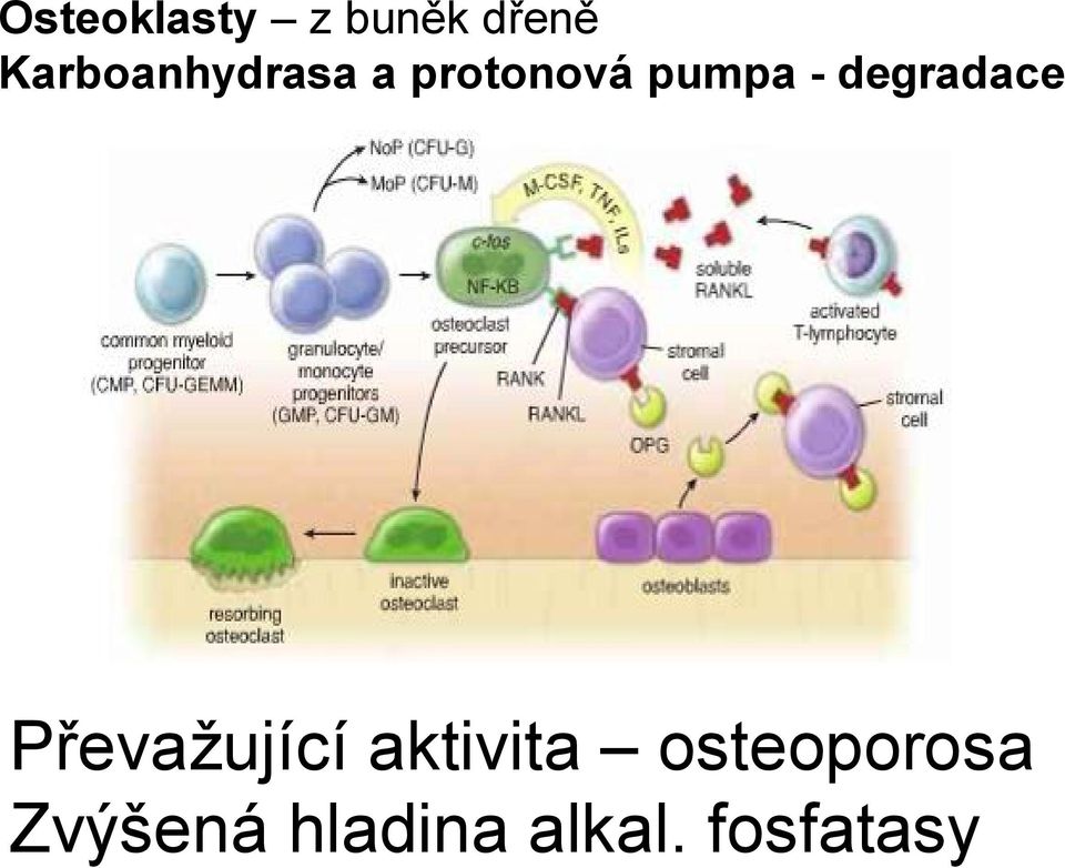 - degradace Převažující aktivita