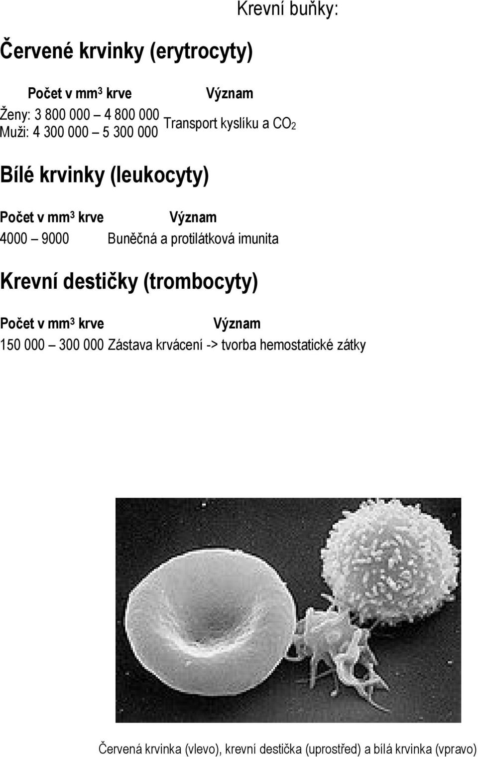 Buněčná a protilátková imunita Krevní destičky (trombocyty) Počet v mm 3 krve Význam 150 000 300 000