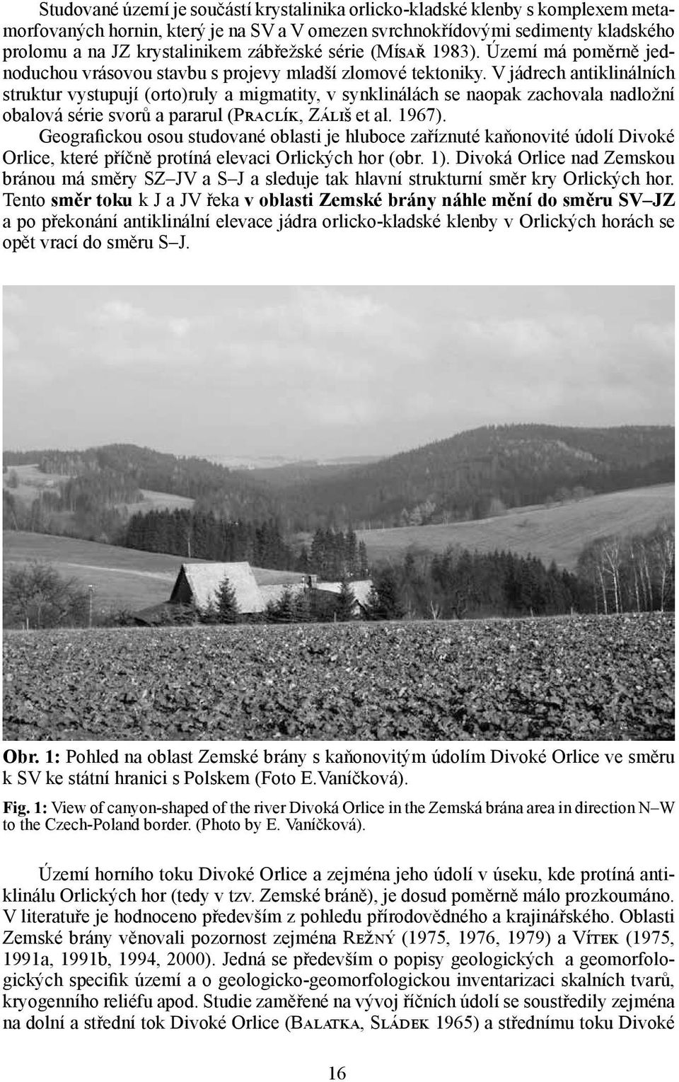 V jádrech antiklinálních struktur vystupují (orto)ruly a migmatity, v synklinálách se naopak zachovala nadložní obalová série svorů a pararul (Praclík, Záliš et al. 1967).