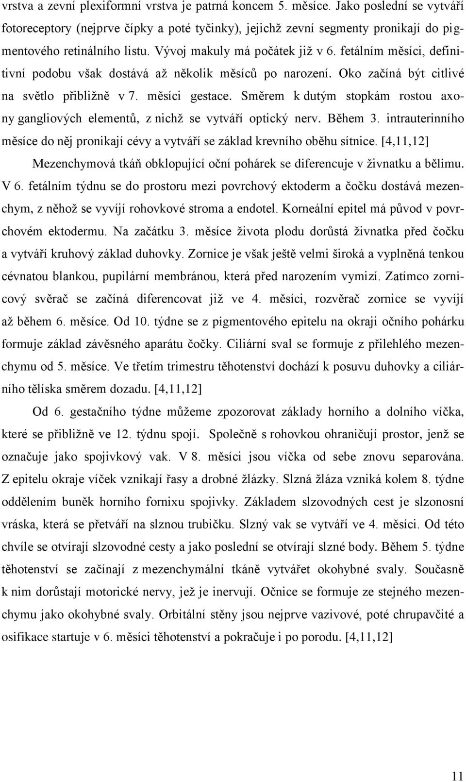 Směrem k dutým stopkám rostou axony gangliových elementů, z nichž se vytváří optický nerv. Během 3. intrauterinního měsíce do něj pronikají cévy a vytváří se základ krevního oběhu sítnice.