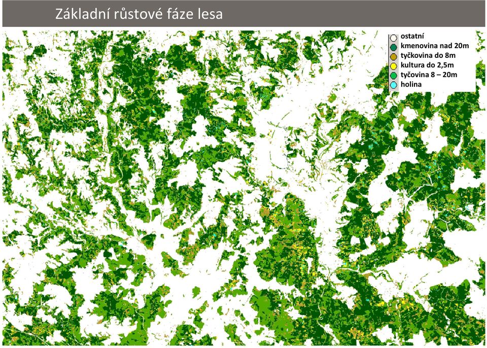 tyčkovina do 8m kultura do