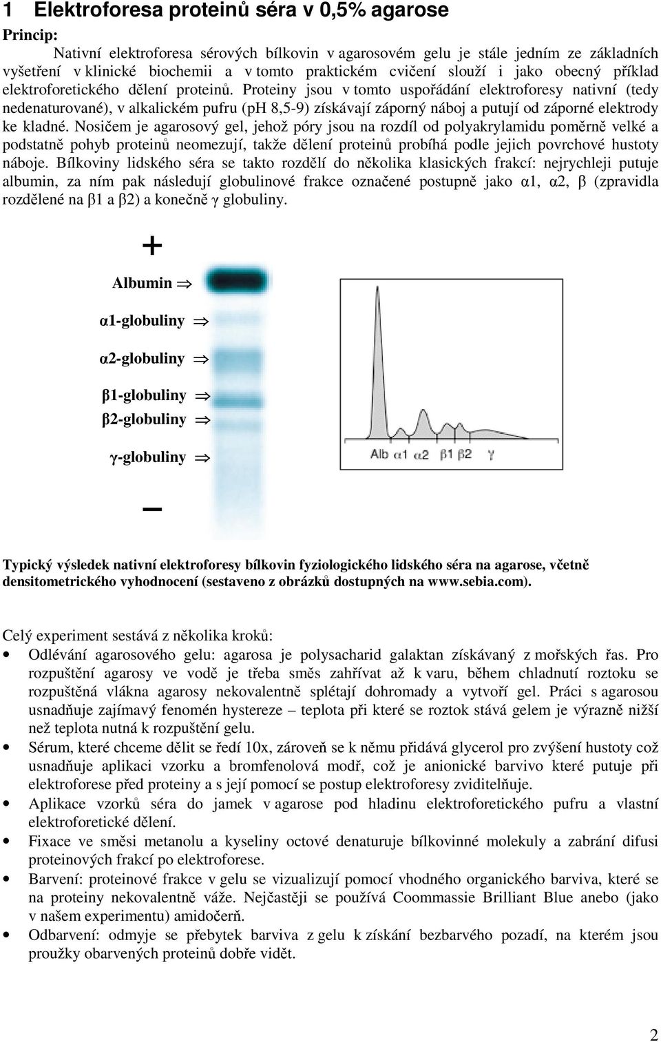 Proteiny jsou v tomto uspořádání elektroforesy nativní (tedy nedenaturované), v alkalickém pufru (ph 8,5-9) získávají záporný náboj a putují od záporné elektrody ke kladné.