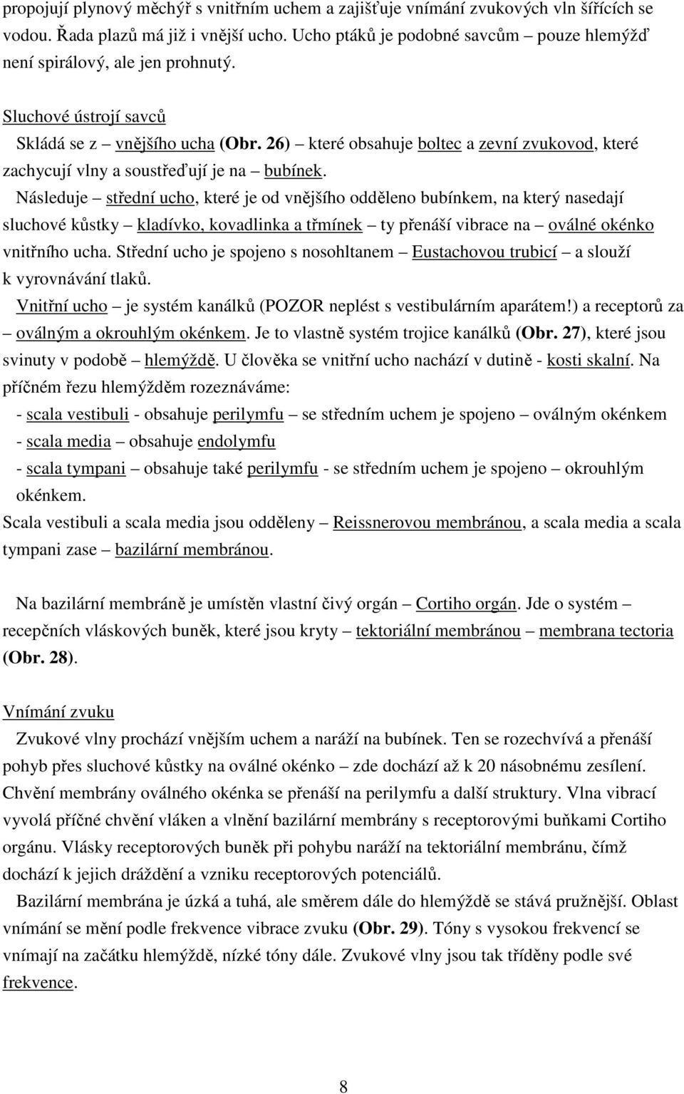 26) které obsahuje boltec a zevní zvukovod, které zachycují vlny a soustřeďují je na bubínek.