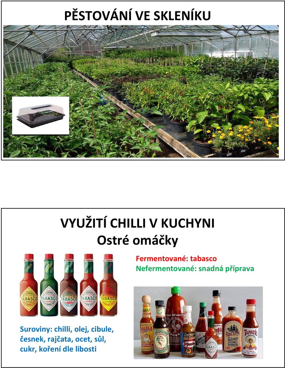 Nefermentované: snadná příprava Suroviny: chilli,