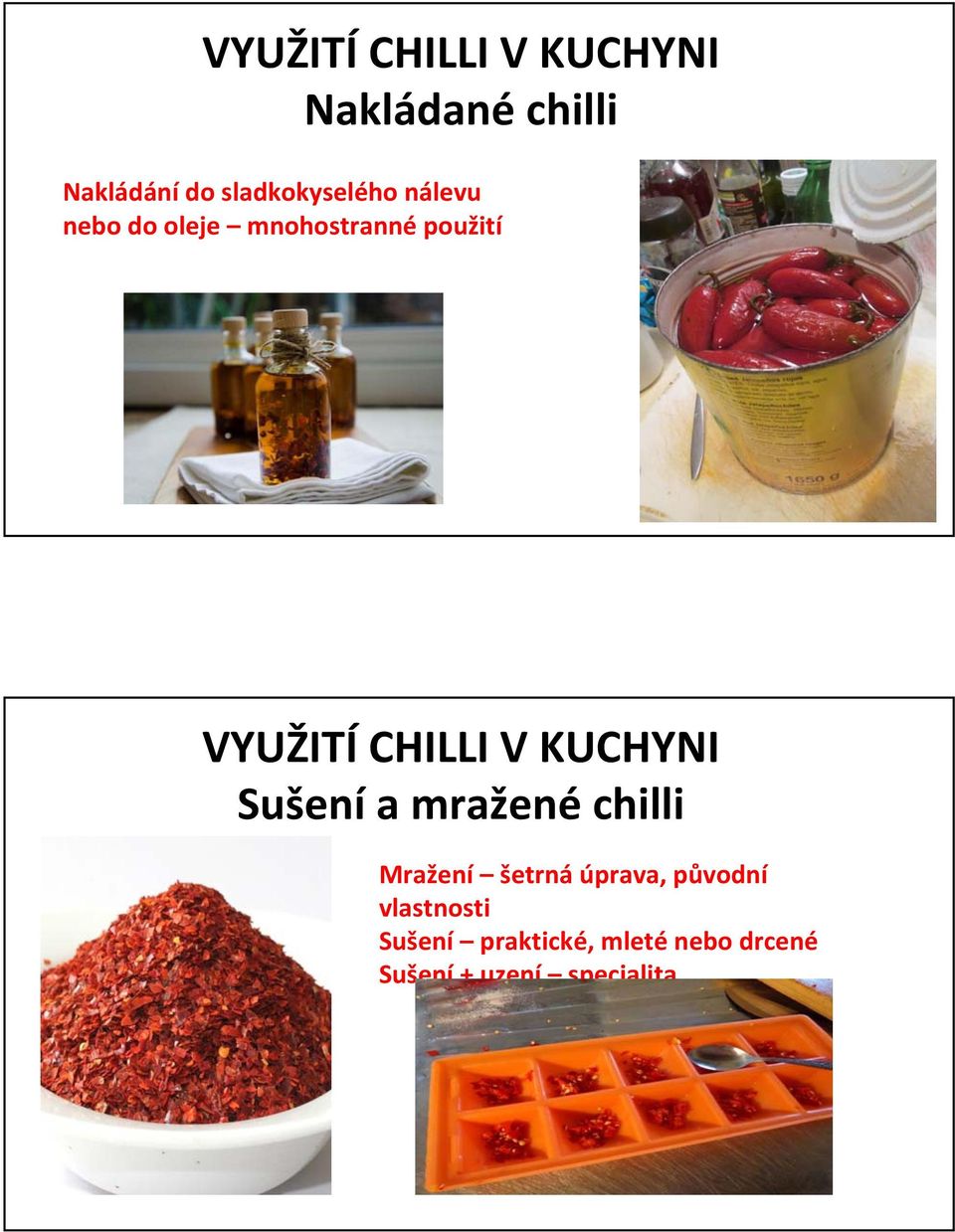 CHILLI V KUCHYNI Sušení a mražené chilli Mražení šetrná úprava,