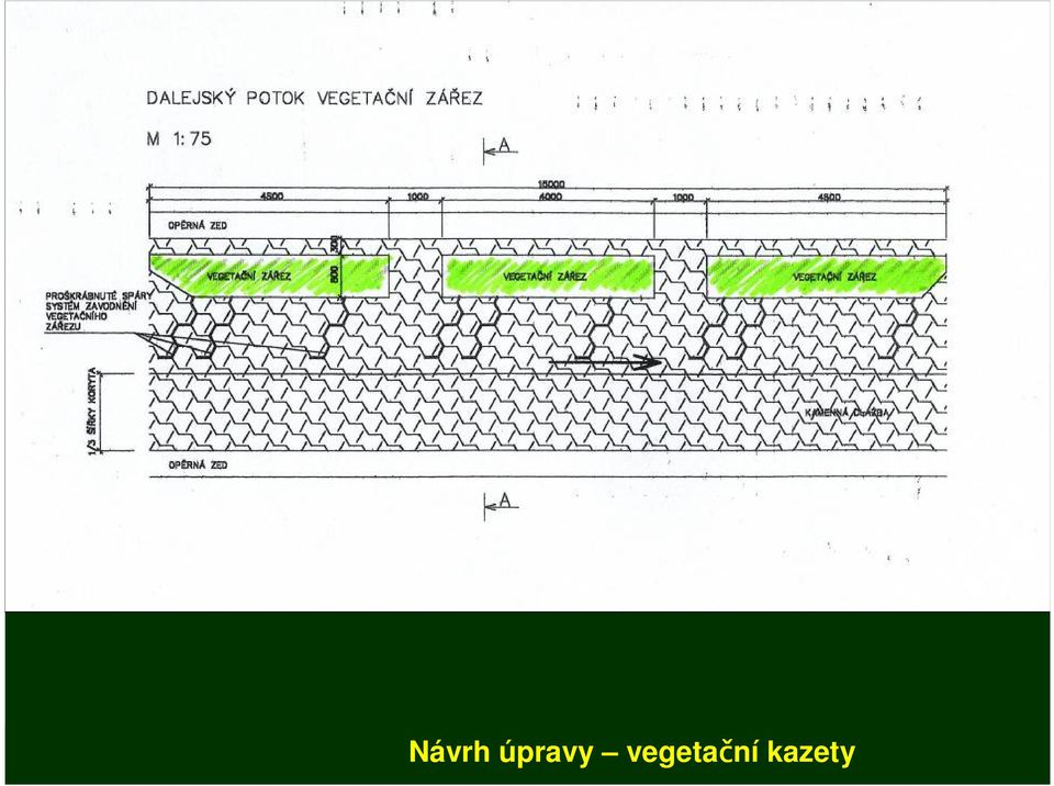 vegetační