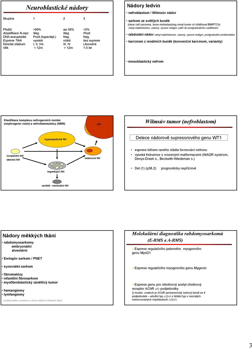 bone metastasizing renal tumor of childhood BMRTCh) nebyl odpřednesen, vzácný, vysoce maligní, patří do postgraduálního vzdělávání rabdoidní nádor nebyl odpřednesen, vzácný, vysoce maligní,