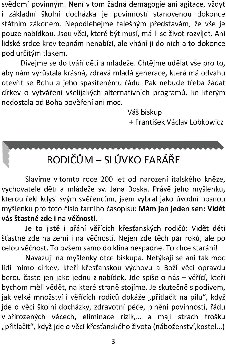 Chtějme udělat vše pro to, aby nám vyrůstala krásná, zdravá mladá generace, která má odvahu otevřít se Bohu a jeho spasitenému řádu.