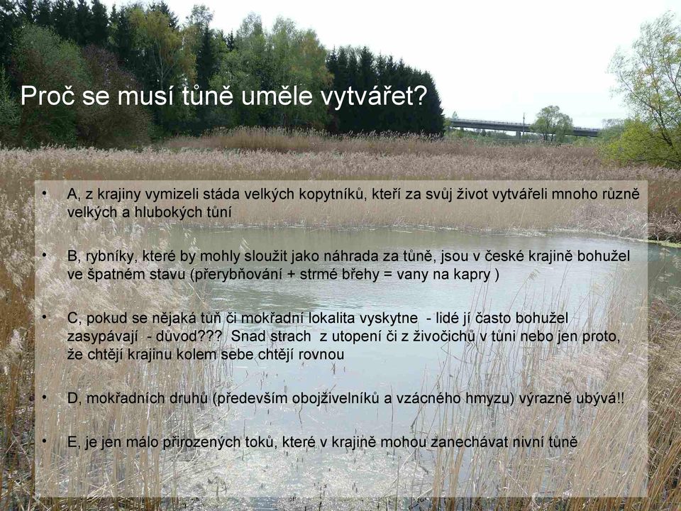 za tůně, jsou v české krajině bohužel ve špatném stavu (přerybňování + strmé břehy = vany na kapry ) C, pokud se nějaká tůň či mokřadní lokalita vyskytne - lidé jí