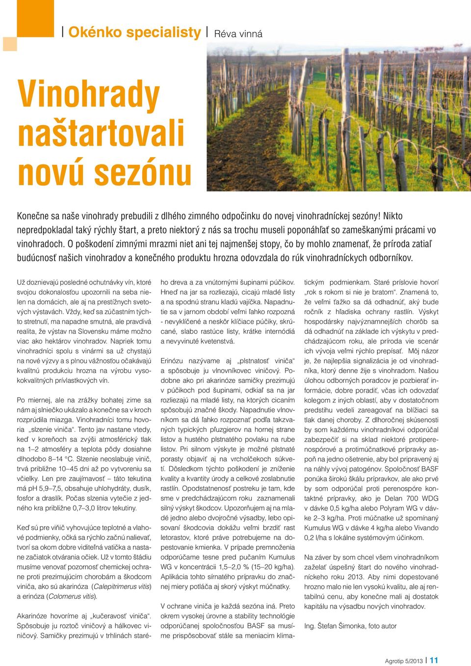 O poškodení zimnými mrazmi niet ani tej najmenšej stopy, čo by mohlo znamenať, že príroda zatiaľ budúcnosť našich vinohradov a konečného produktu hrozna odovzdala do rúk vinohradníckych odborníkov.