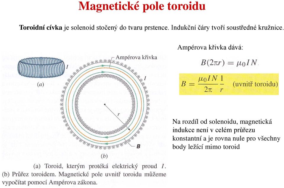 Ampérova křivka dává: Na rozdíl od solenoidu, magnetická indukce