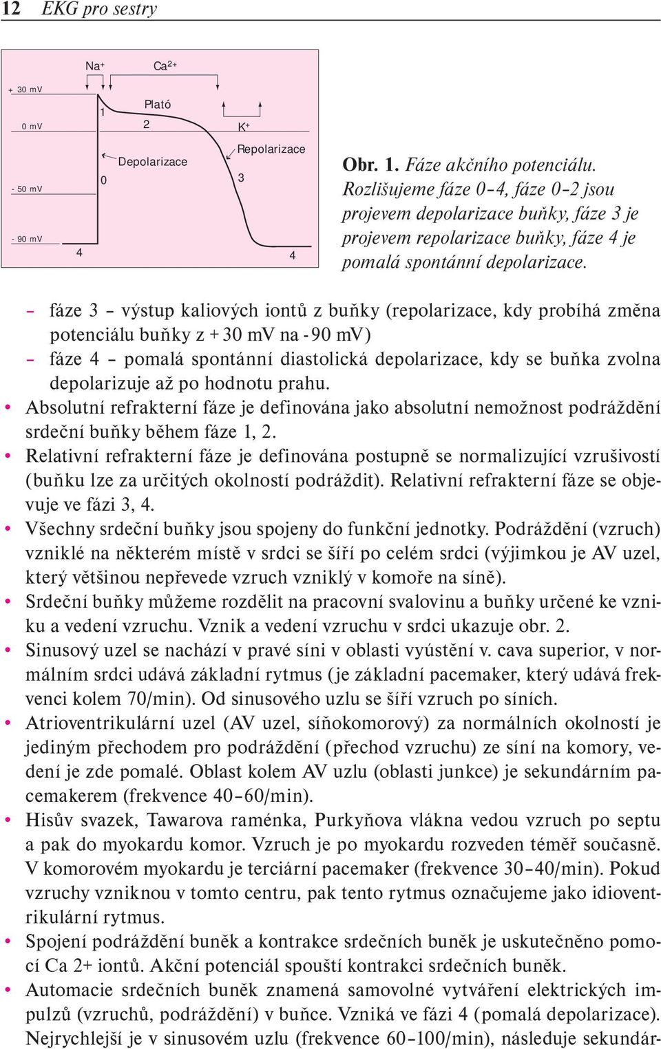 fáze 3 výstup kaliových iontů z buňky ( repolarizace, kdy probíhá změna potenciálu buňky z + 30 mv na - 90 mv) fáze 4 pomalá spontánní diastolická depolarizace, kdy se buňka zvolna depolarizuje až po