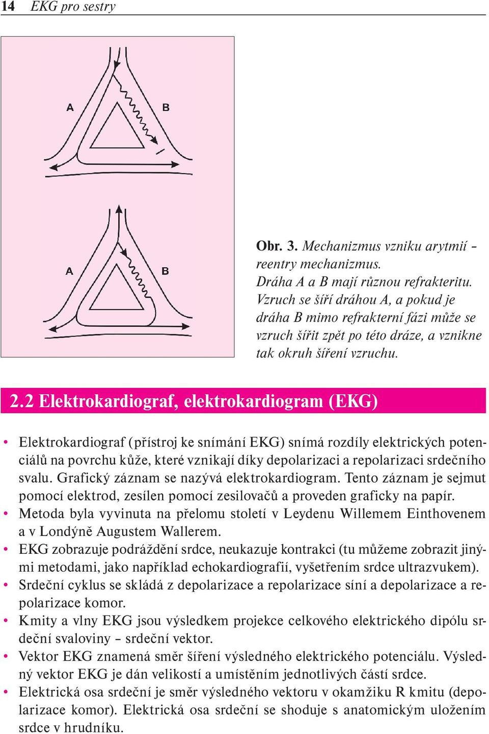 2 Elektrokardiograf, elektrokardiogram (EKG) Elektrokardiograf (přístroj ke snímání EKG) snímá rozdíly elektrických potenciálů na povrchu kůže, které vznikají díky depolarizaci a repolarizaci